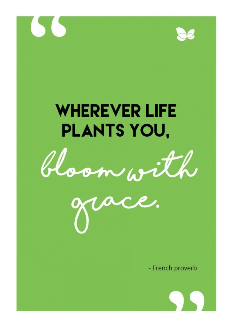 BloomwithGrace