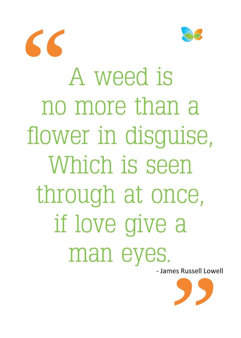 FlowerInDisguise08.08.22